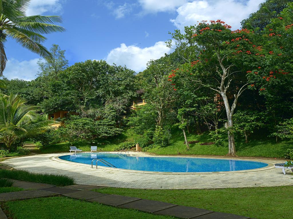 Hotel Abad Green Forest Thekkady Kumily Exteriér fotografie